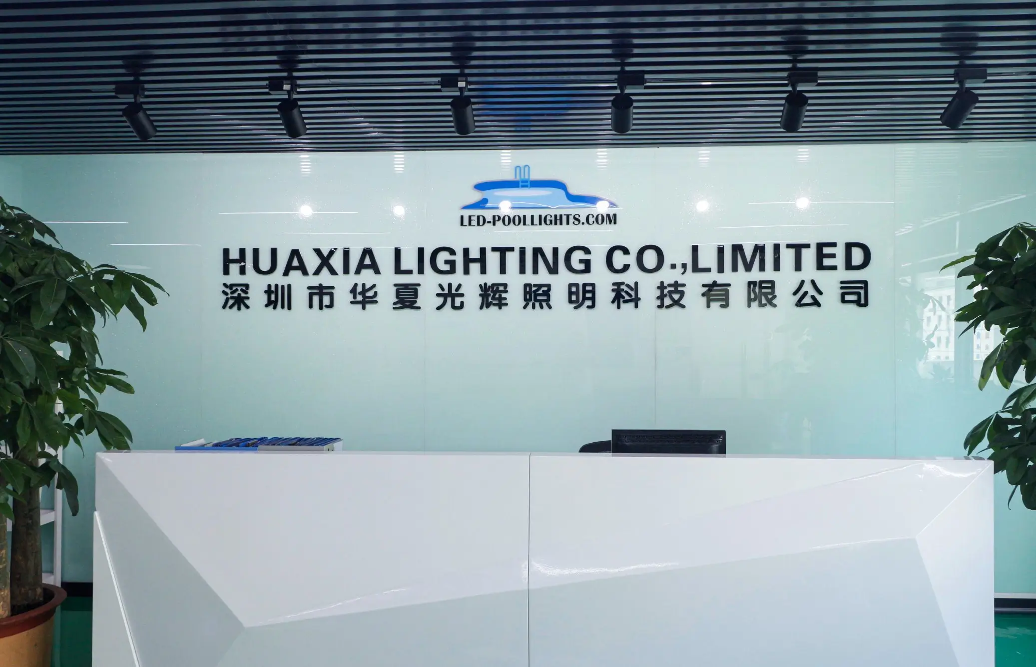 Китайська компанія Huaxia Chip оголошена банкрутом і підлягає ліквідації