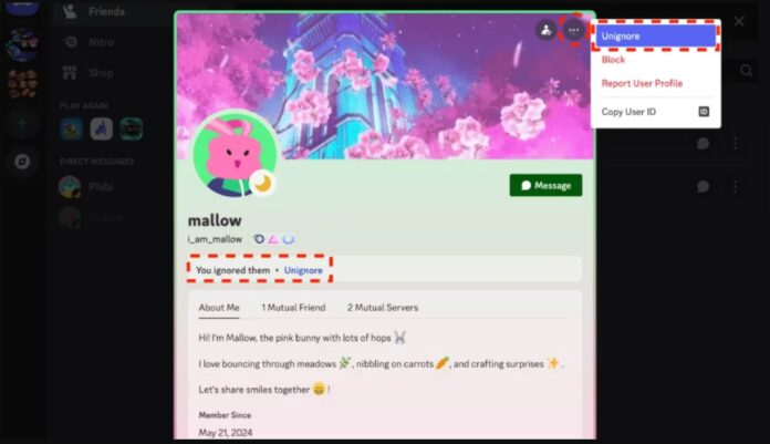 Discord запускає функцію Ignore для уникнення небажаної взаємодії